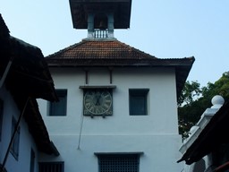 Synagogue Paradesi 