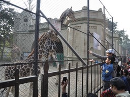 Alipore Zoological Garden