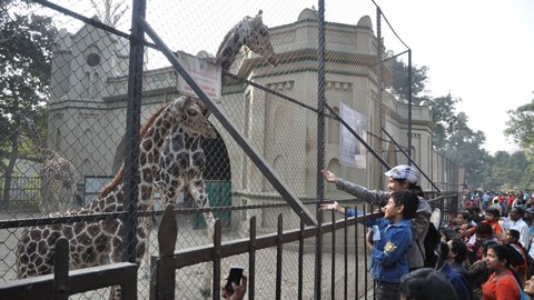 阿李魄力动物园