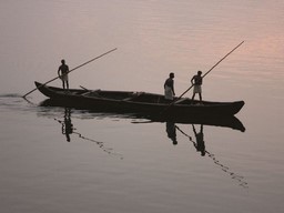 Ashtamudi See 