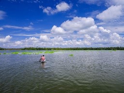 Vembanad-See 