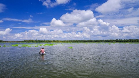 文巴纳德湖(Vembanad Lake) 