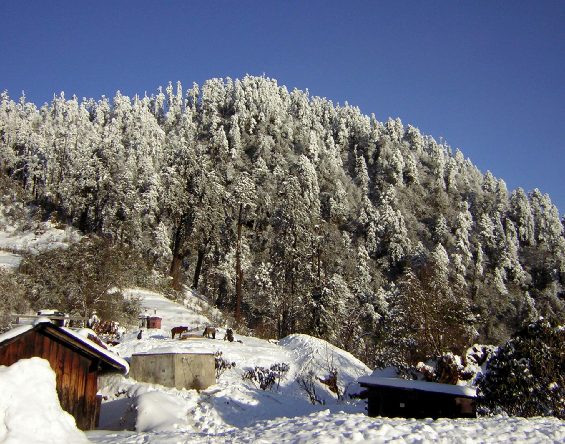 Lachung Monastery