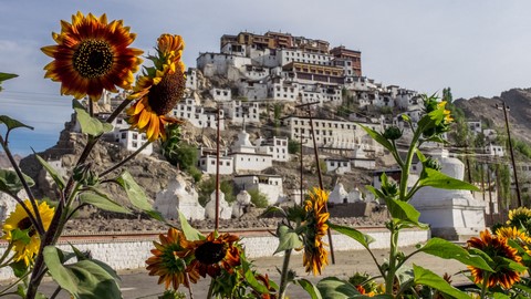 Leh Palace