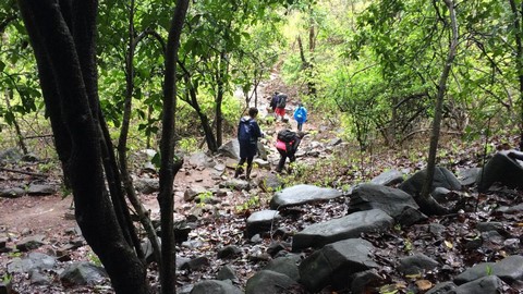 कर्नाला पक्षी अभ्यारण्य