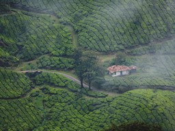 Munnar