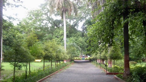 Zoo de Maharaj Bagh 