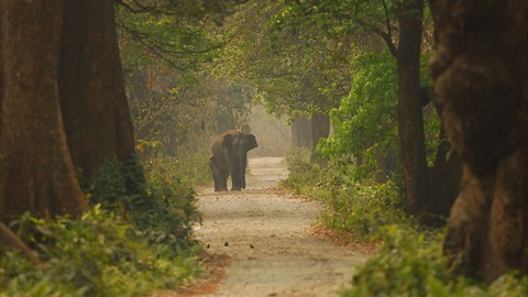 Nalbari 