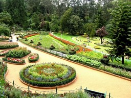  Ootacamund (Ooty)