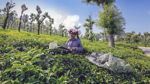 coonoor