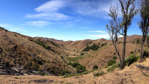 Western Catchment