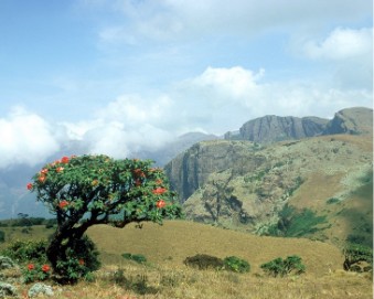 Mukurthi Nationalpark und Mukurthi-Gipfel 