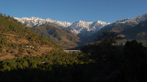 Palampur