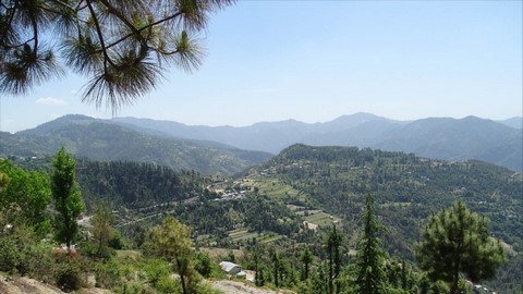 Naldehra 