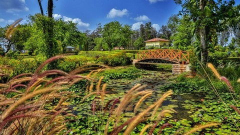 Nakshatra-Garten 