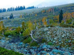 Gulmarg