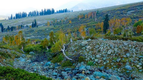 gulmarg