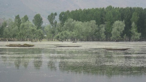 lago wular