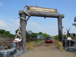 Point Calimere Wildtier- und Vogel Schutzgebiet 