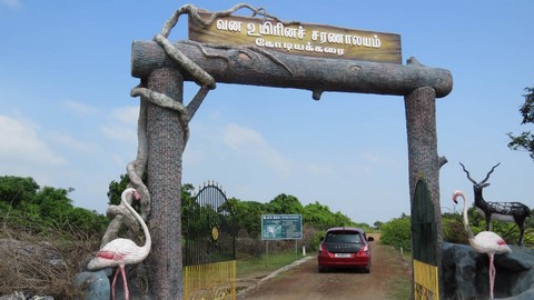 Point Calimere Wildtier- und Vogel Schutzgebiet 