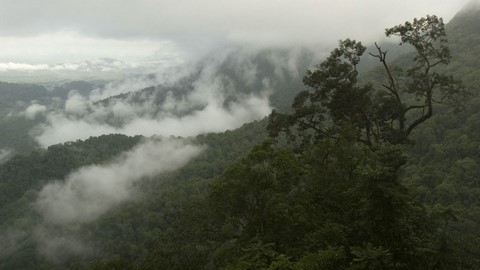 Udupi