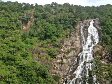 रतनमहल स्लॉथ भालू अभयारण्य 