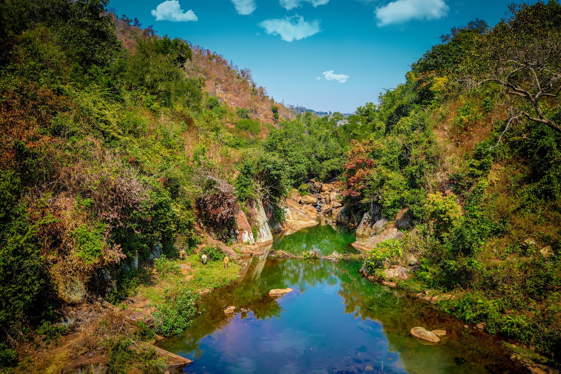 Araku Valley 