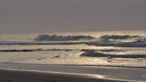 la playa de la bahía de lawson