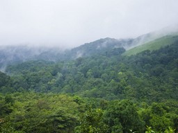 Wayanad