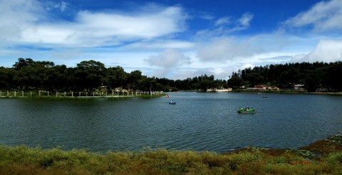 Yercaud-See 